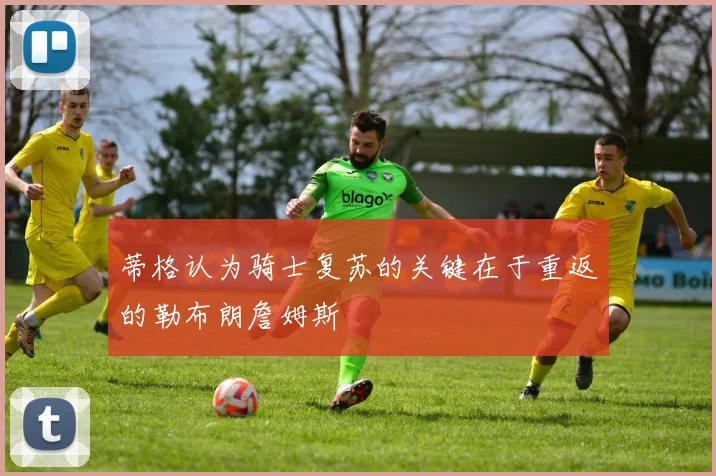 蒂格认为骑士复苏的关键在于重返的勒布朗詹姆斯